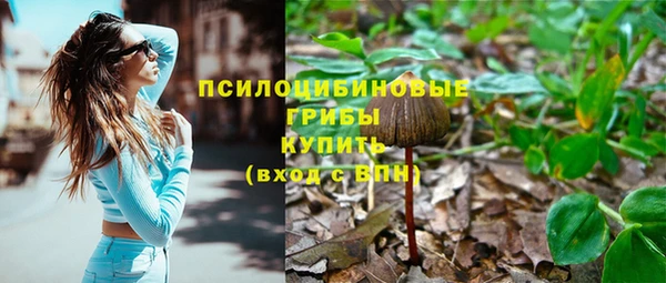 таблы Верхний Тагил