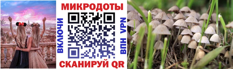 Галлюциногенные грибы GOLDEN TEACHER  Купить закладки  Нижний Новгород 